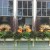 Fleuri Garden Designs Zoe Forbes best window boxes container gardens Boston MetroWest Newton Wellesley Autumn Fall decorations ILoveNewtonMA ILoveNewton I love newton
