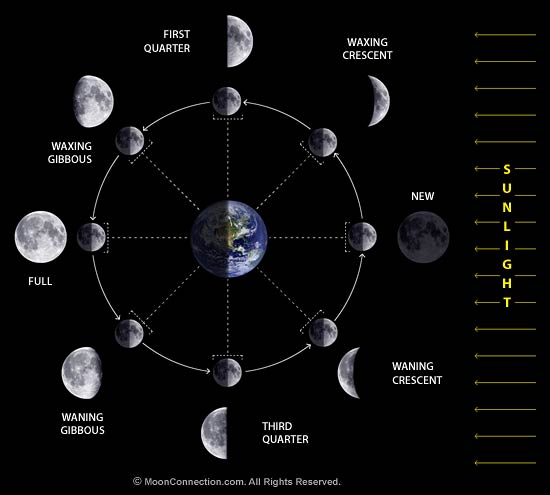 Phases Of Moon Study Guide For 4th Grade Science I Love Newton