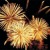 Please donate to support the Newton Fireworks.