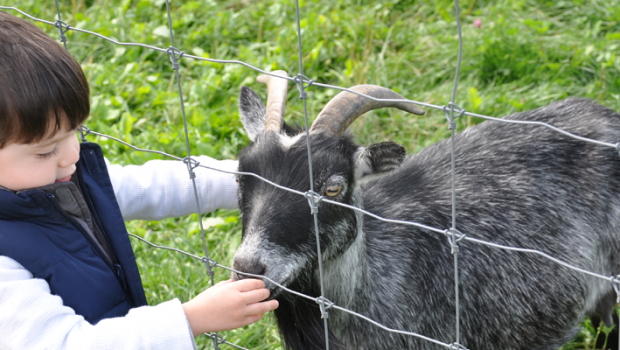 Belkin Family Lookout Farm Free Open House