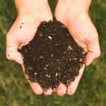 free compost to Newton Residents ILoveNewton.com