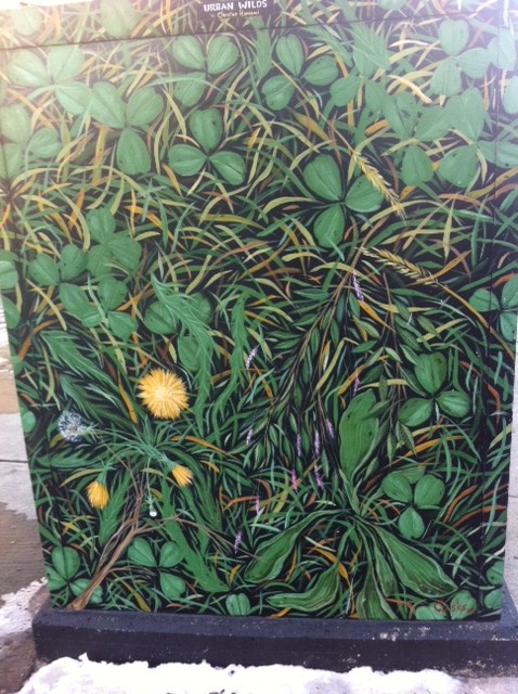 Boston Box Art, street art, clover street art, 4 leaf clover street art