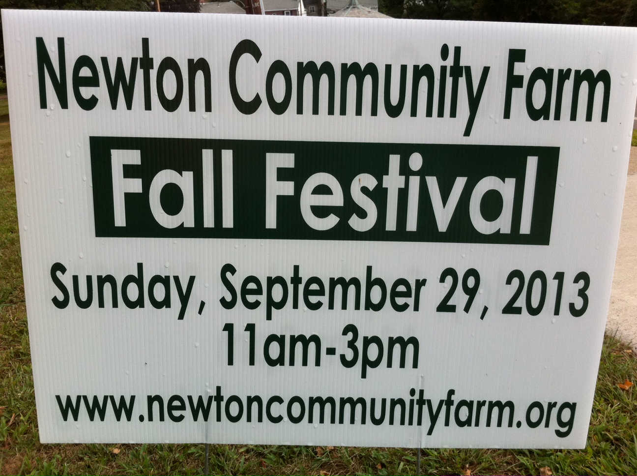 Newton Harvest Festival, Newton MA