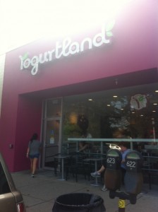 Newton Yogurtland Grand Opening