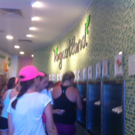 Newton Yogurtland Grand Opening