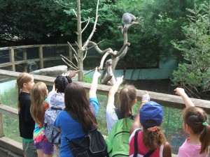 school vacation week at Franklin Park Zoo MA