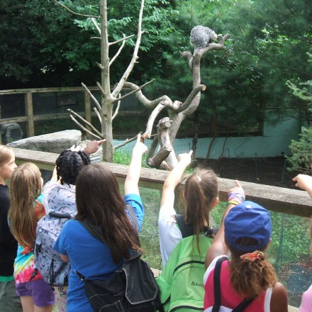 school vacation week at Franklin Park Zoo MA