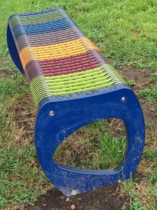 New Playground at Peirce Elementary School