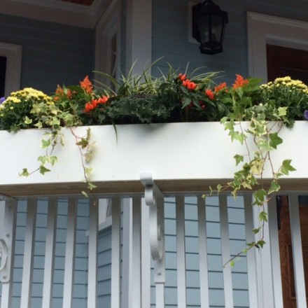 Fleuri Designs windowbox gardens for fall