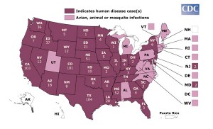 West Nile Virus and Lyme Disease Prevention