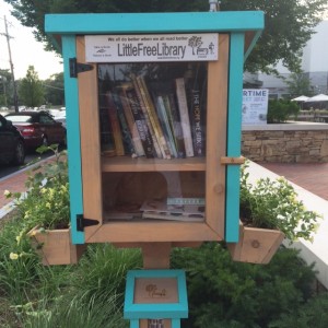 Newton's First Little Free Library