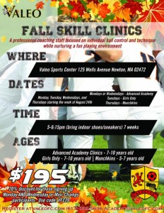 Valeo Fall Skills Clinic