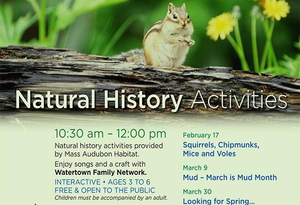 The Watertown Family Network's Natural History Activities