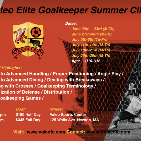 Valeo Elite Goalkeeper Summer Clinic