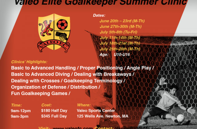 Valeo Elite Goalkeeper Summer Clinic