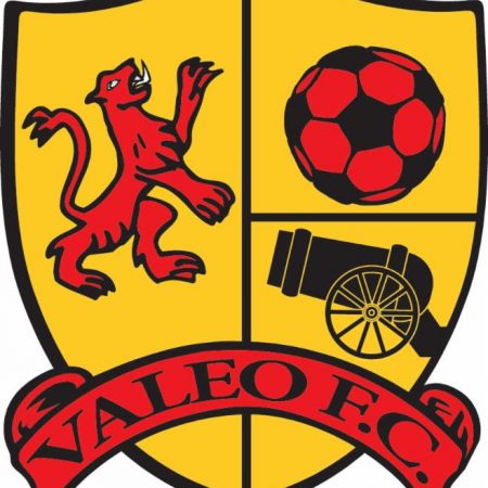 Valeo FC Boys Make Elite National Soccer Teams