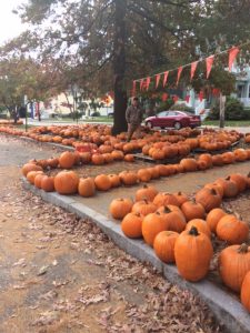 Auburndale Pumpkin Patch!