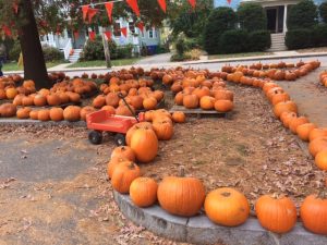 Auburndale Pumpkin Patch!