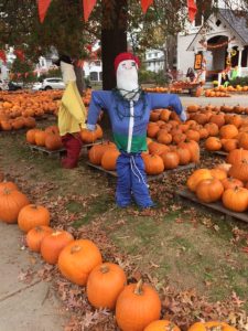 Auburndale Pumpkin Patch!