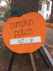 Auburndale Pumpkin Patch!