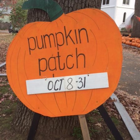 Auburndale Pumpkin Patch!