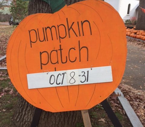 Auburndale Pumpkin Patch!