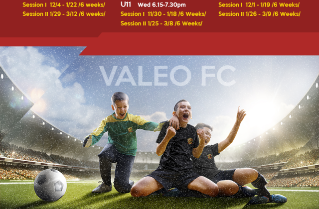 Valeo FC Winter Mini Champions NOW AVAILABLE!