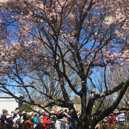 Newton Cemetery Tour