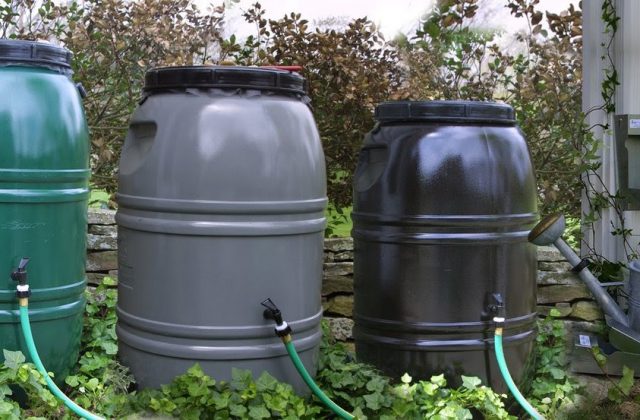 Dirty Boy Composting Partnering with The Great American Rain Barrel Company