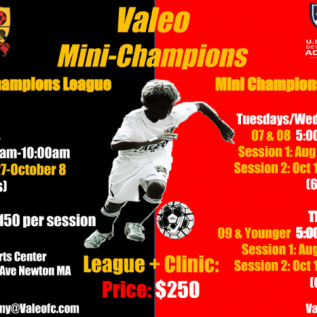 Valeo FC Mini Champs